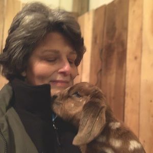 Meet your Posher, Tina